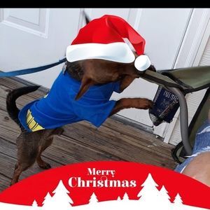 Meet your Posher, Jeffery